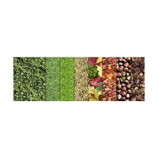 Bloc de bricolage 300 g/m2, 24 x 34 cm 16 fles assorties