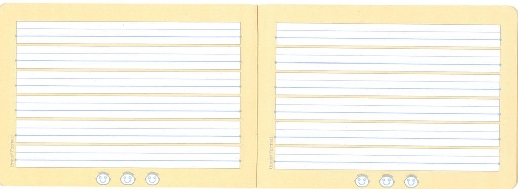 Cahiers Formati A5 oblong 20 fles S3, 10 pièces