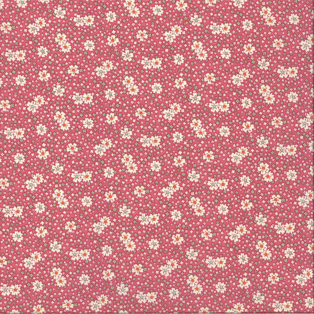 Coton imprimé largeur 115 cm