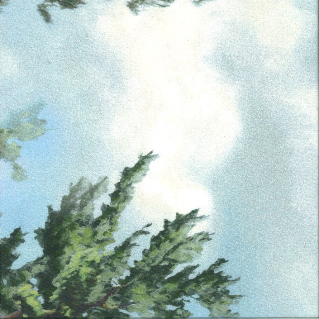 Baumwolle bedruckt Breite 115 cm   