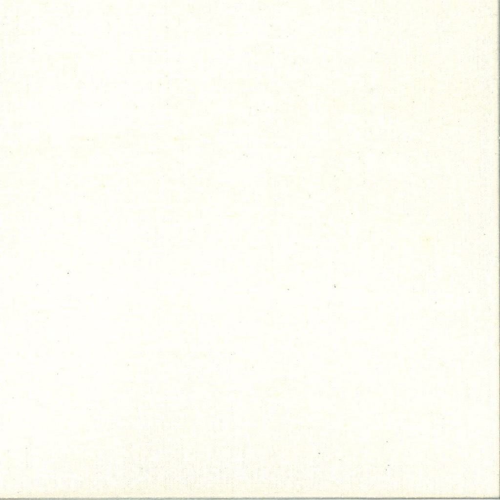 Soie Bourette largeur 110 cm 