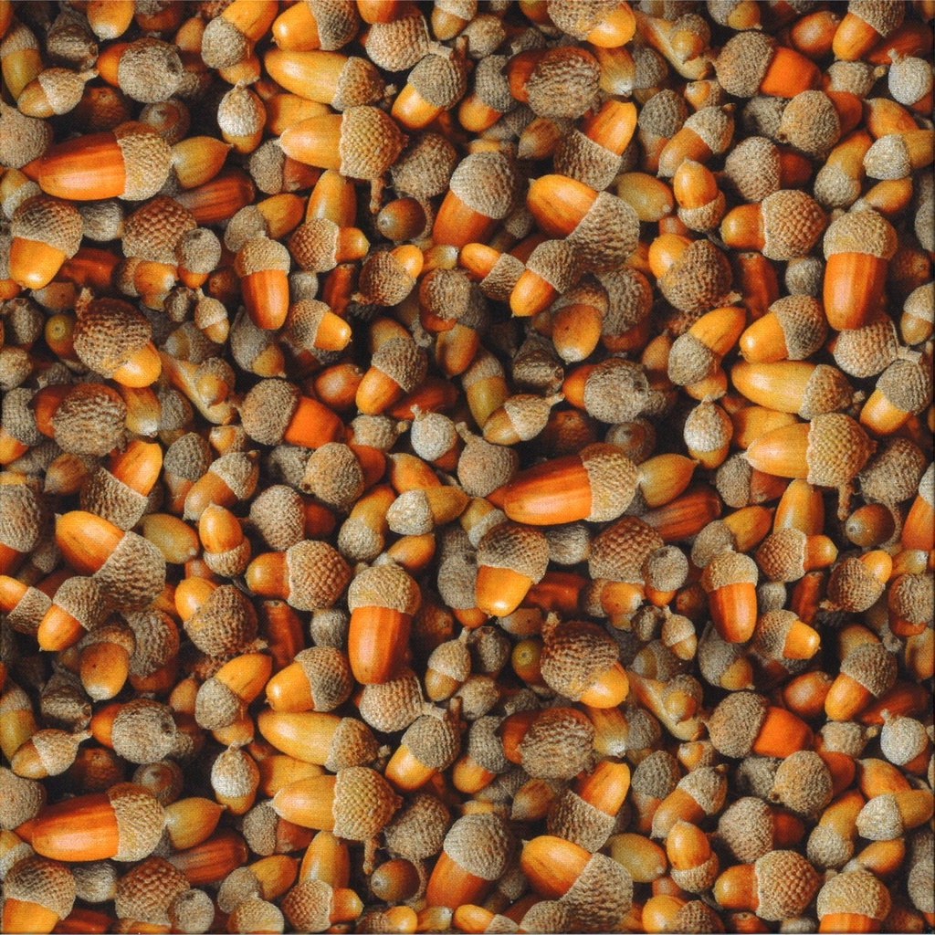 Coton imprimé largeur 115 cm 