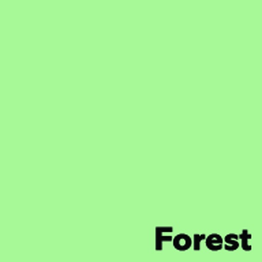 [CS266761] Kopierpapier A4 Image Coloraction Forest/grün 160 g/m2, 250 Blatt