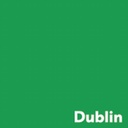 [CS385125] Kopierpapier A4 Image Coloraction Dublin/dunkelgrün 160 g/m2, 250 Blatt