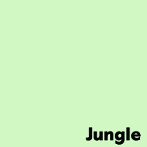 [CS294953] Kopierpapier A4 Image Coloraction Jungle/hellgrün 80 g/m2, 500 Blatt