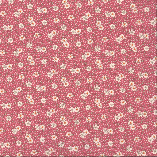 [71.405.356] Coton imprimé largeur 115 cm