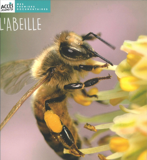 [11365] L'abeille,  mes premiers documentaires Edition Accès dès 4 ans