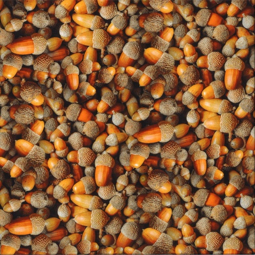 [71.405.551] Baumwolle bedruckt Breite 115 cm 