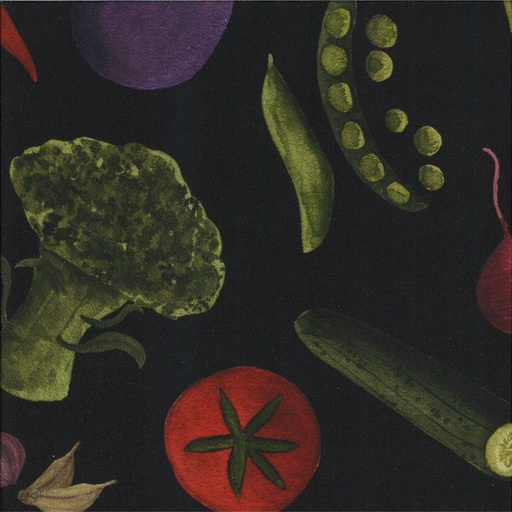 Coton imprimé largeur 138 cm Canvas 