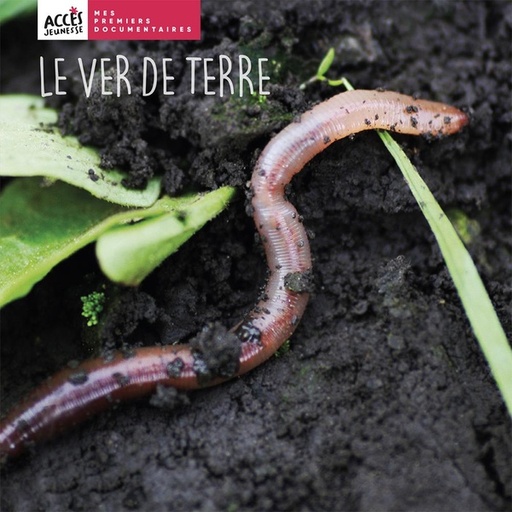 [11366] Le ver de terre, mes premiers documentaires Edition Accès dès 4 ans